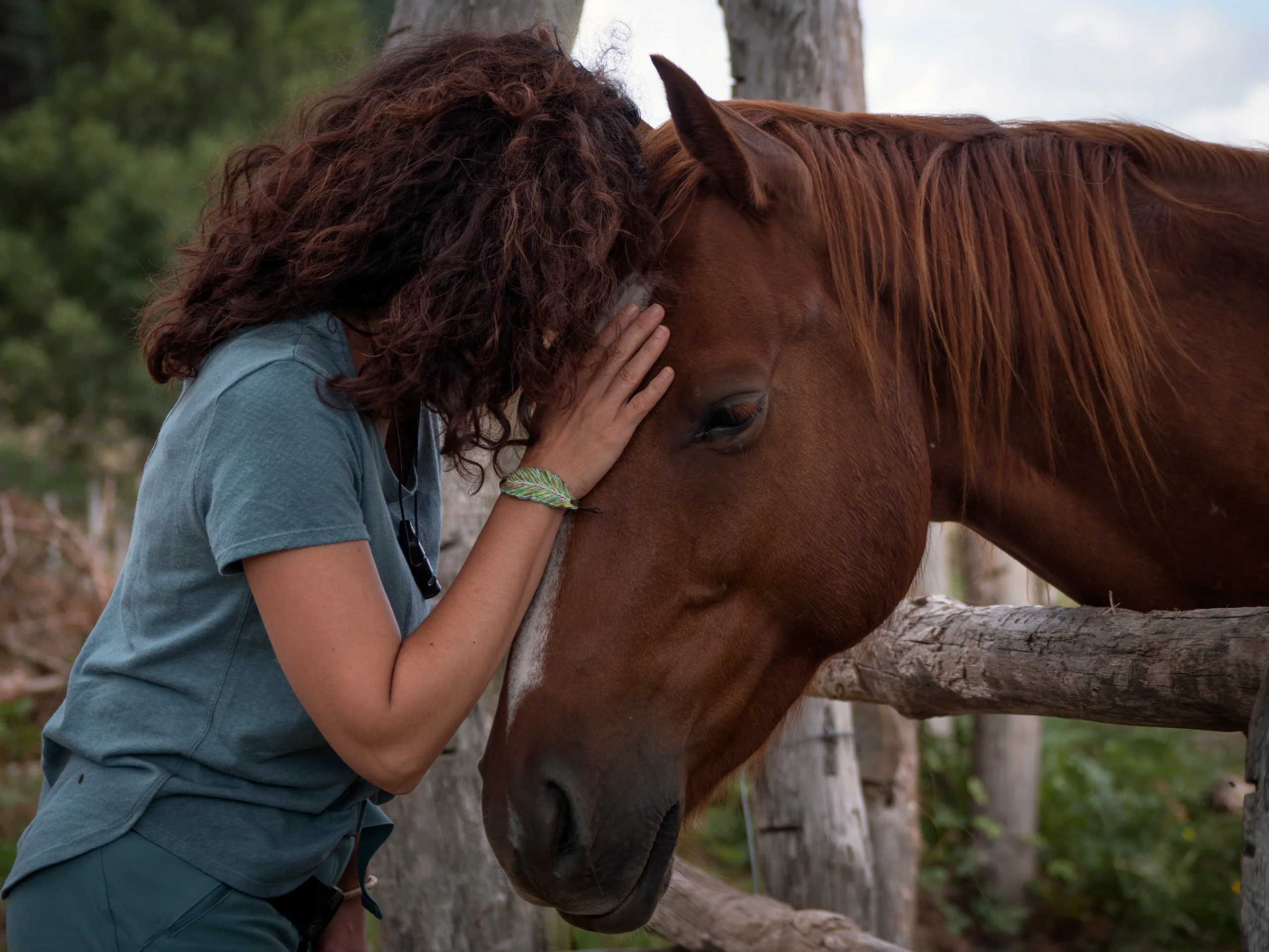Equine assisted therapy session in Orange County at South Orange County Wellness