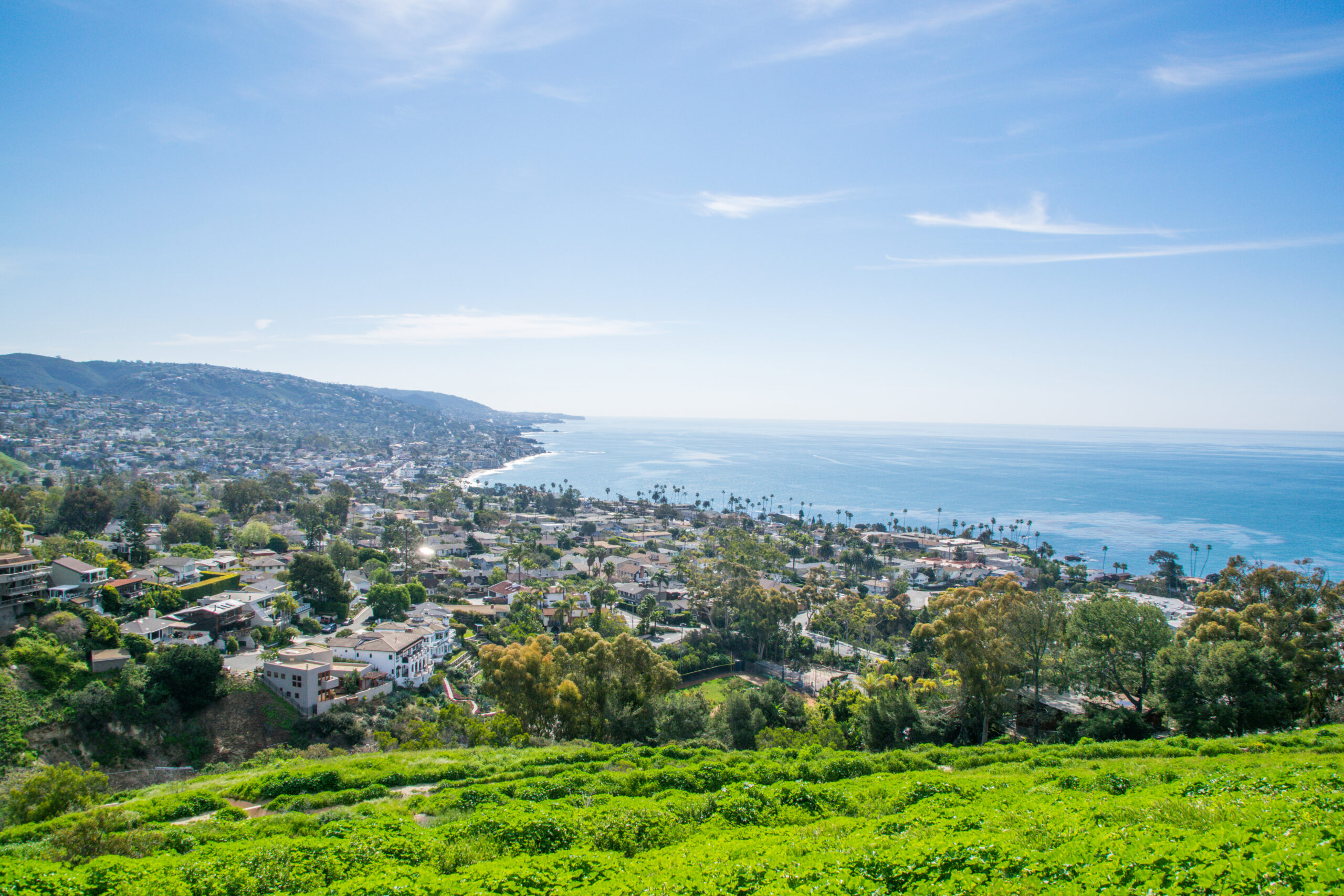 Mental health treatment programs near Laguna Hills at South Orange County Wellness